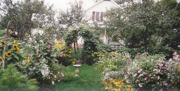 Dirk Berghout's cottage garden in Indian River - 2007